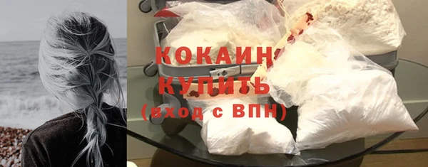 дживик Бронницы