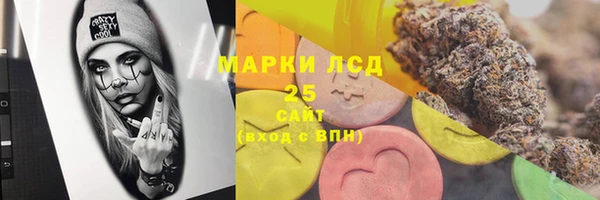 дживик Бронницы