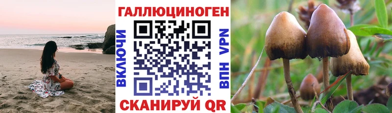 Псилоцибиновые грибы Cubensis  Купить  Нефтекумск 